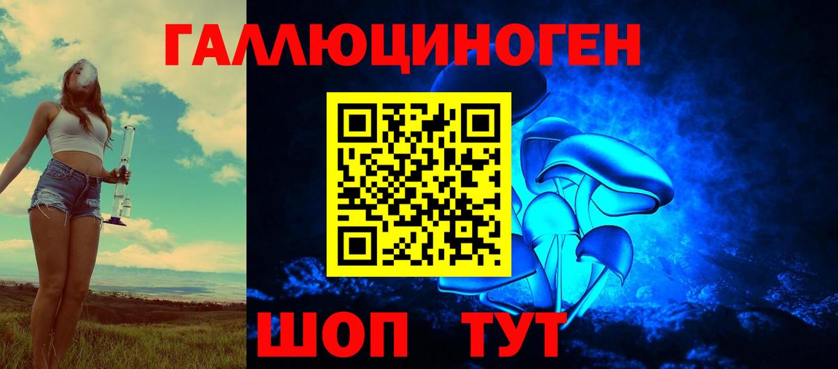 Галлюциногенные грибы Psilocybe  Галлюциногенные грибы Psilocybine cubensis  Ахтубинск  Вход с VPN 